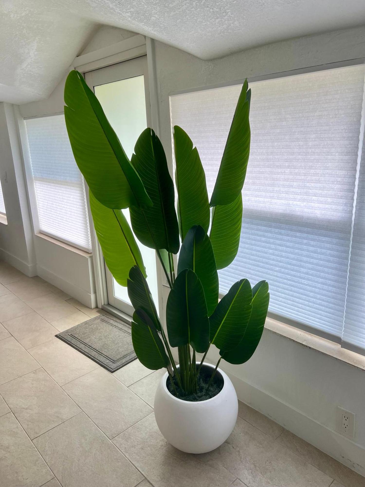 Fort Lauderdale Beach House エクステリア 写真